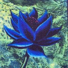 Load image into Gallery viewer, Magic: The Gathering - Black Lotus Printed Rug